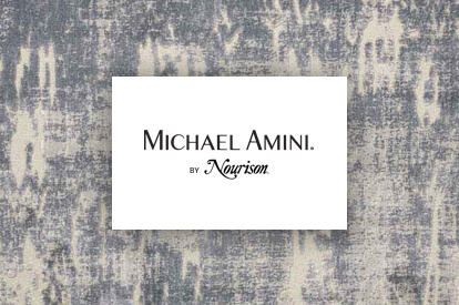 Michael Amini